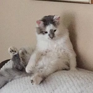 Meet your Posher, Ali